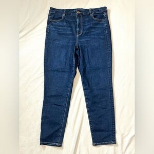 American Eagle Outfitters Blue Skinny Jeans